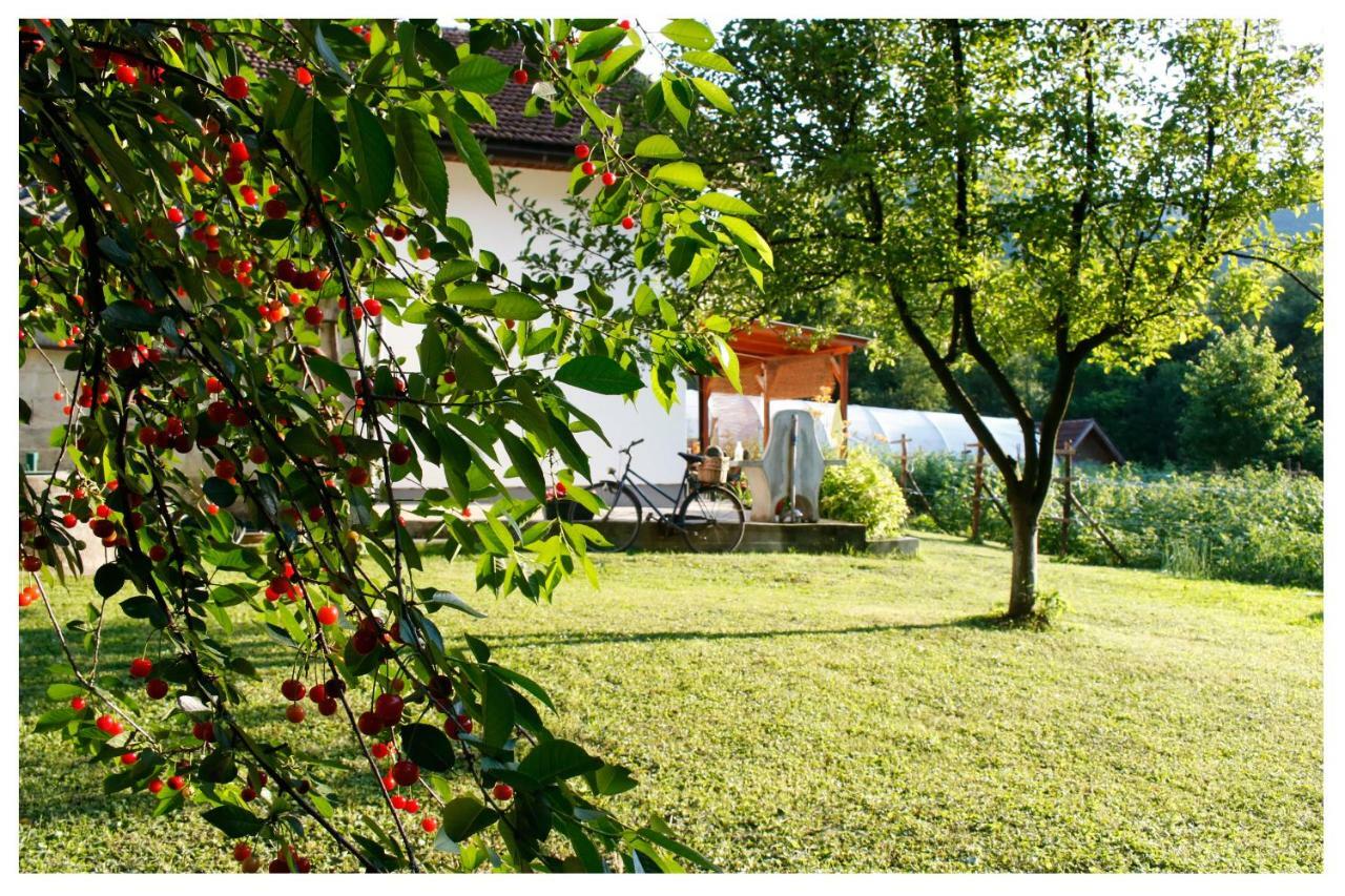 Holiday Residence Buric Visoko Buitenkant foto